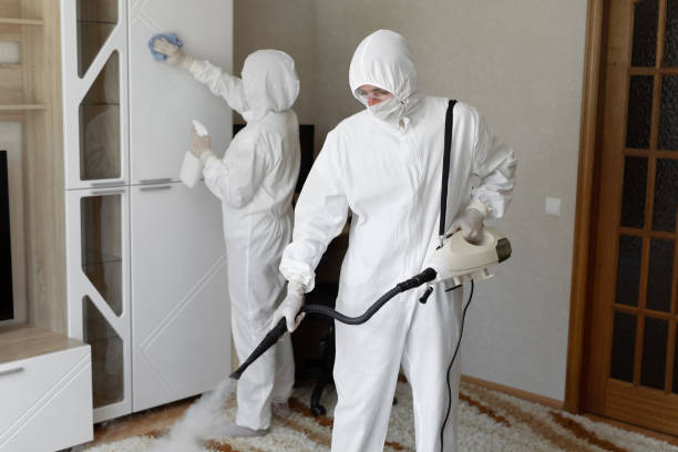 24/7 Emergency Odor Removal experts in Athens, PA